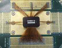 LCD/OLED